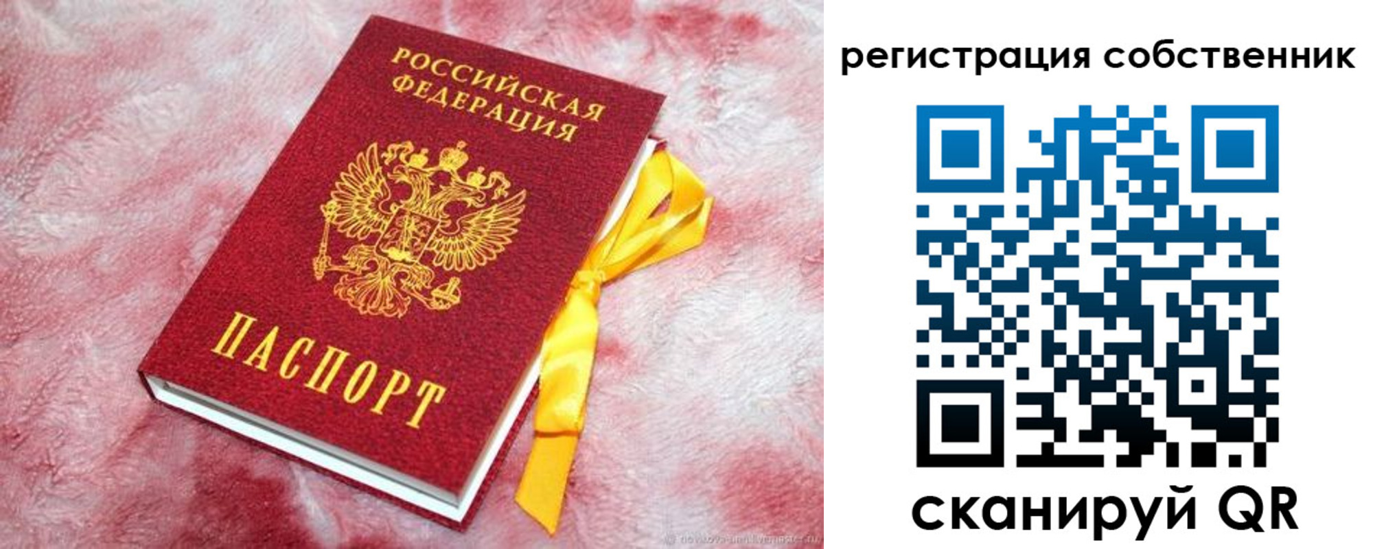 прописка в Тамбове